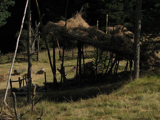 Pravěk 2008 / Dílna / Slunečník 