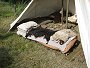 Pravěk 2008 / Postele / Hotová postel