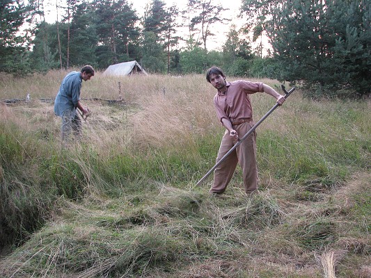 Pravěk 2008 / Vesnička / Seno 