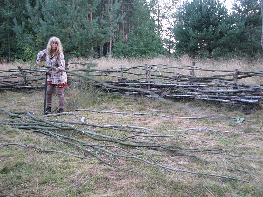 Pravěk 2008 / Vesnička / Plot 
