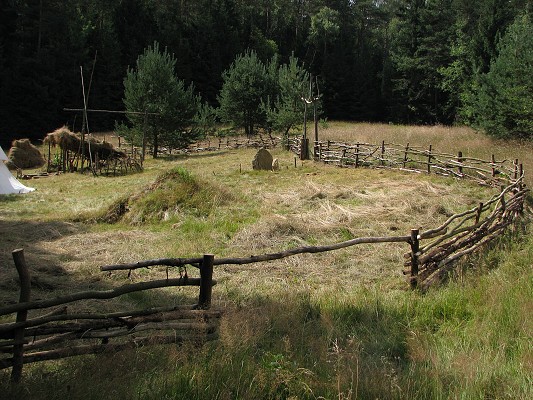 Pravěk 2008 / Vesnička / Severní část 