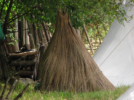 Pravěk 2008 / Vesnička / Sklípek 