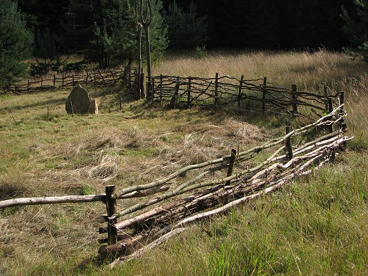 Pravěk 2008 / Vesnička / Plot 