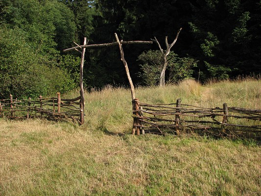 Pravěk 2008 / Vesnička / Vchod u lesa 
