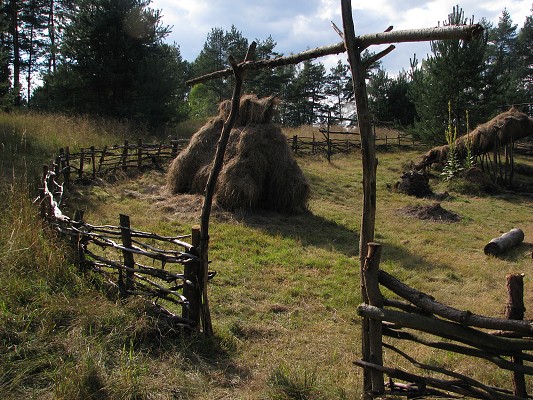 Pravěk 2008 / Vesnička / Paňák sena 