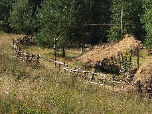 Pravěk 2008 / Vesnička / Západní část plotu 