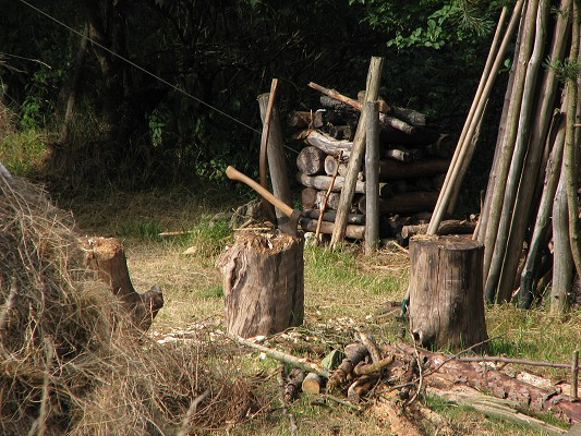 Pravěk 2008 / Vesnička / Dřevník 