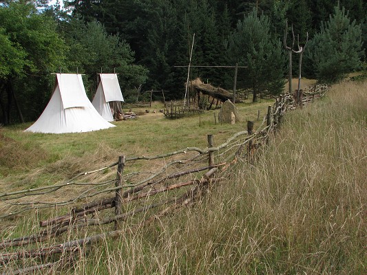 Pravěk 2008 / Vesnička / Pohled podél plotu 