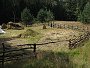 Pravěk 2008 / Vesnička / Severní část
