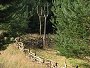 Pravěk 2008 / Vesnička / Západní část plotu