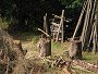 Pravěk 2008 / Vesnička / Dřevník