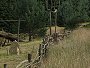 Pravěk 2008 / Vesnička / Plot
