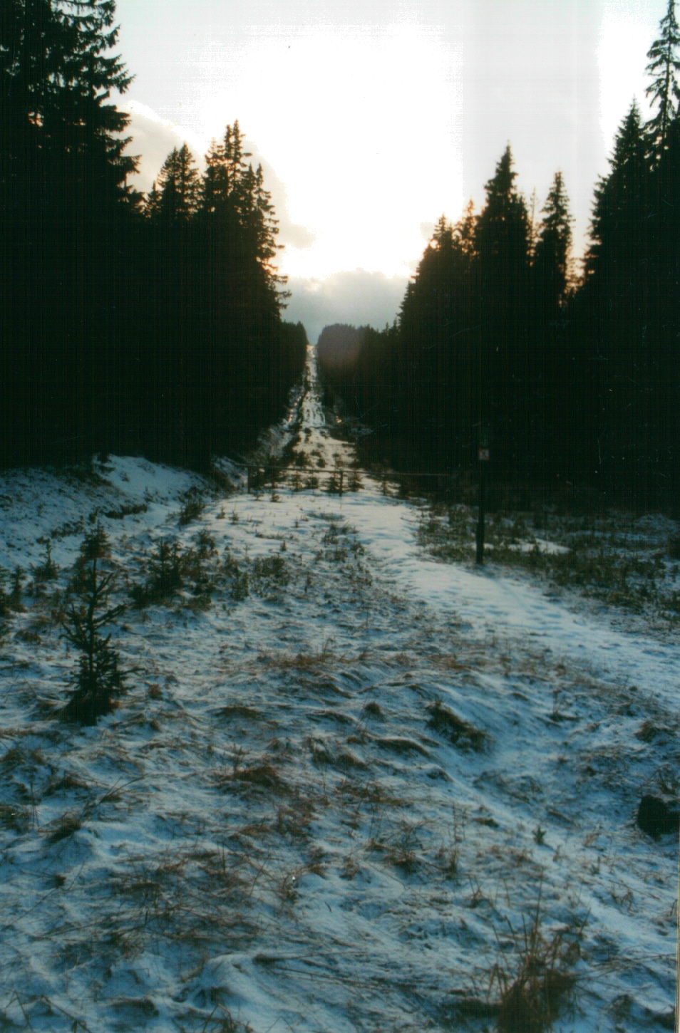 Obraz36.jpg