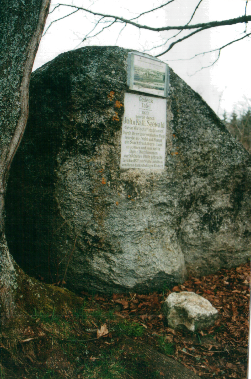 Obraz46.jpg