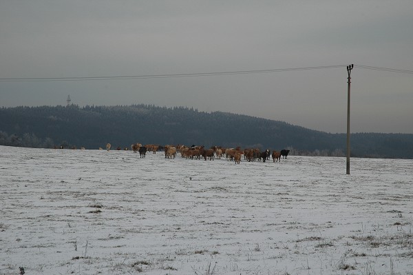 Zimní tábor 2006 / 2007