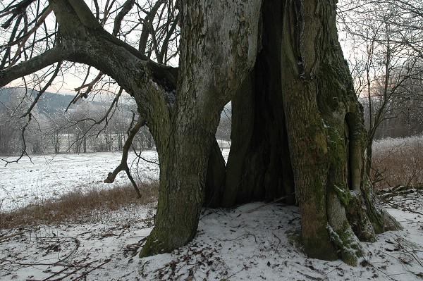 Zimní tábor 2006 / 2007